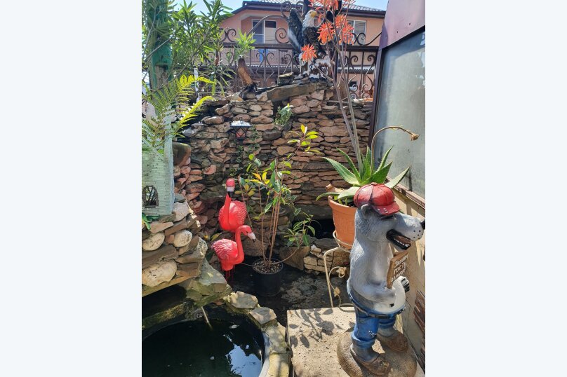 Фото Любовь и голуби