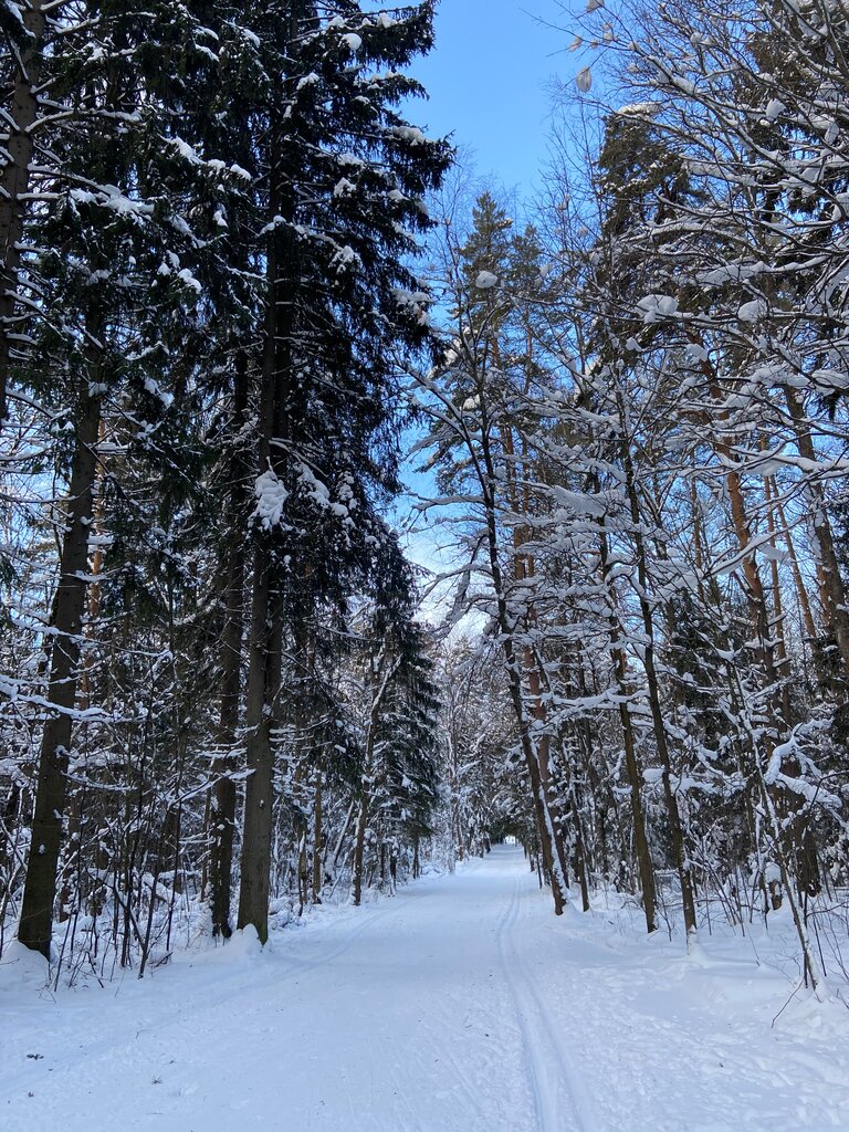 Лыжная база Лыжный стадион, Химки, фото