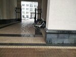 Bicycle parking (Baskov Lane, 2), bicycle parking
