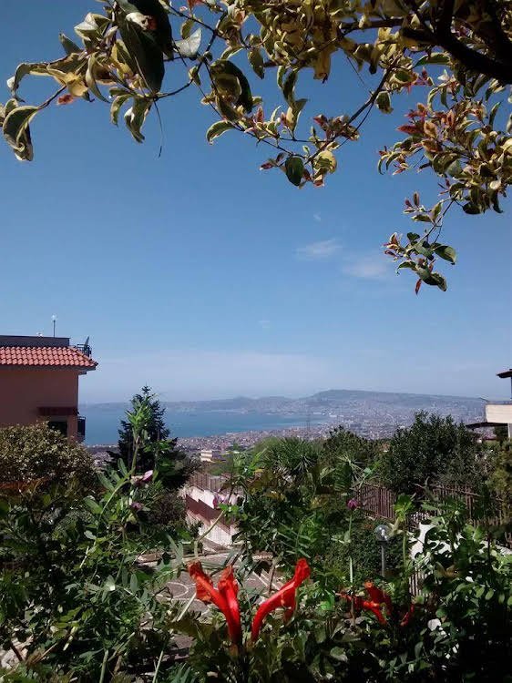 Фото Hotel Herculaneum