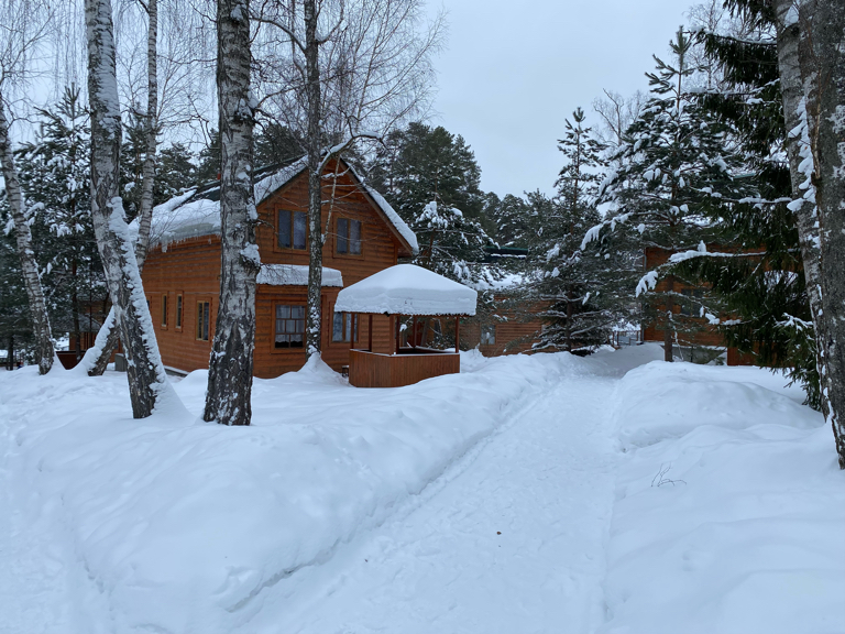 Фото Берёзовая роща
