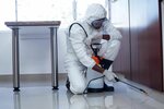 Ozon Tech Kz (Nursultan Nazarbaev Avenue, 33/3), disinfection, disinsection, deratization