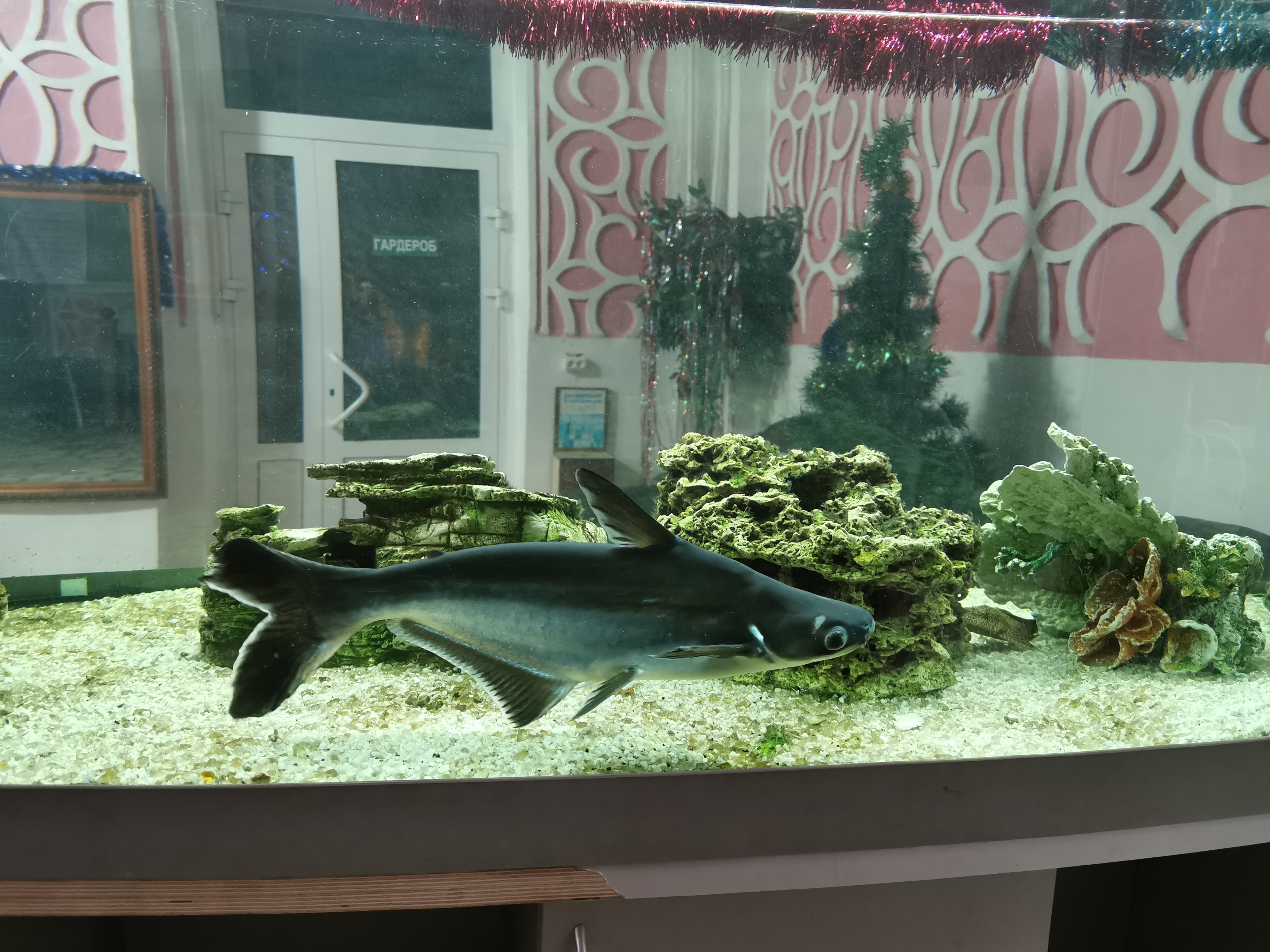 Фото Саянская Благодать