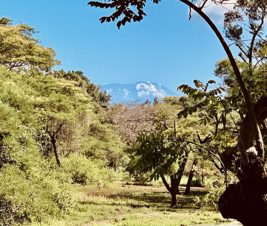 Фото Mt Meru Game Lodge