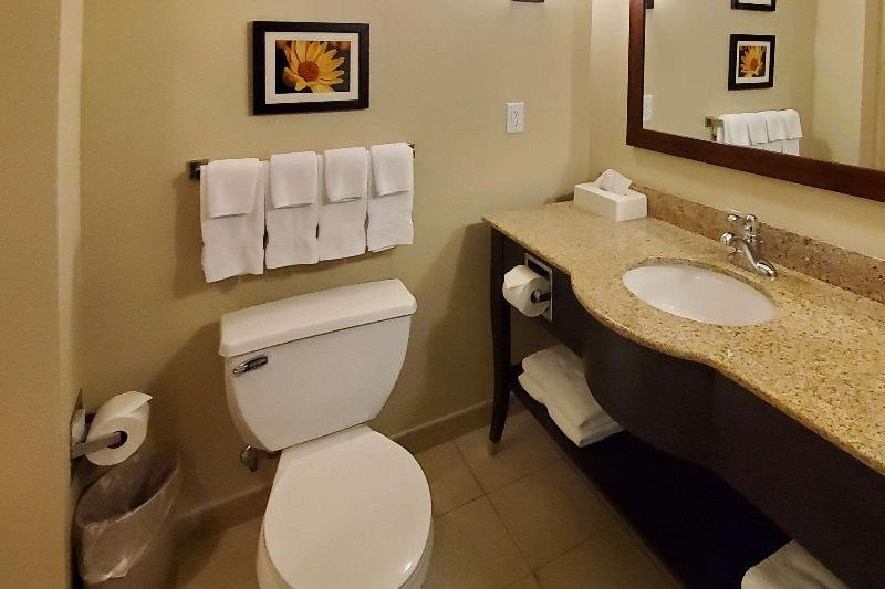 Фото Comfort Suites Helena Airport