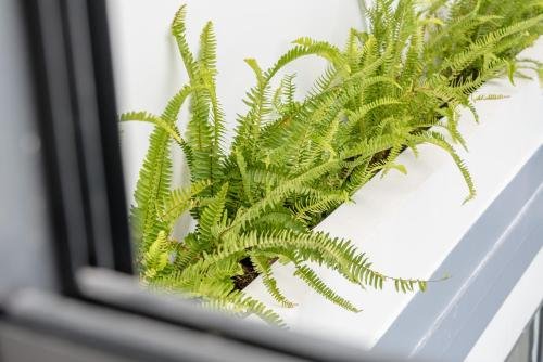 Фото Babylon Villa