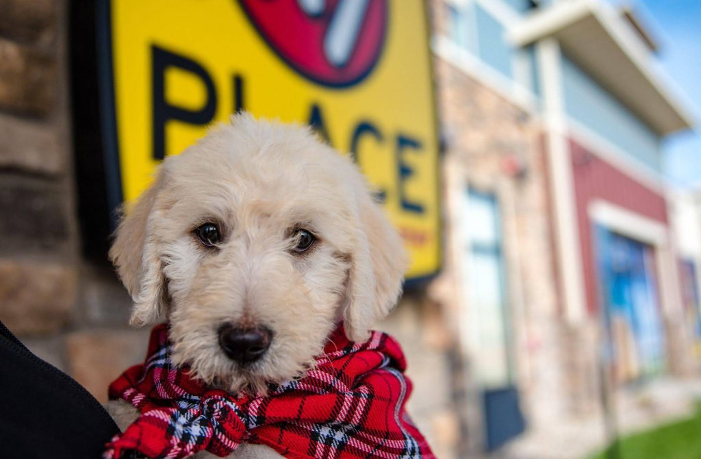 Фото My Place Hotel- Anchorage, Ak