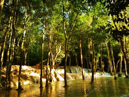 Фото Saynamkhan River View
