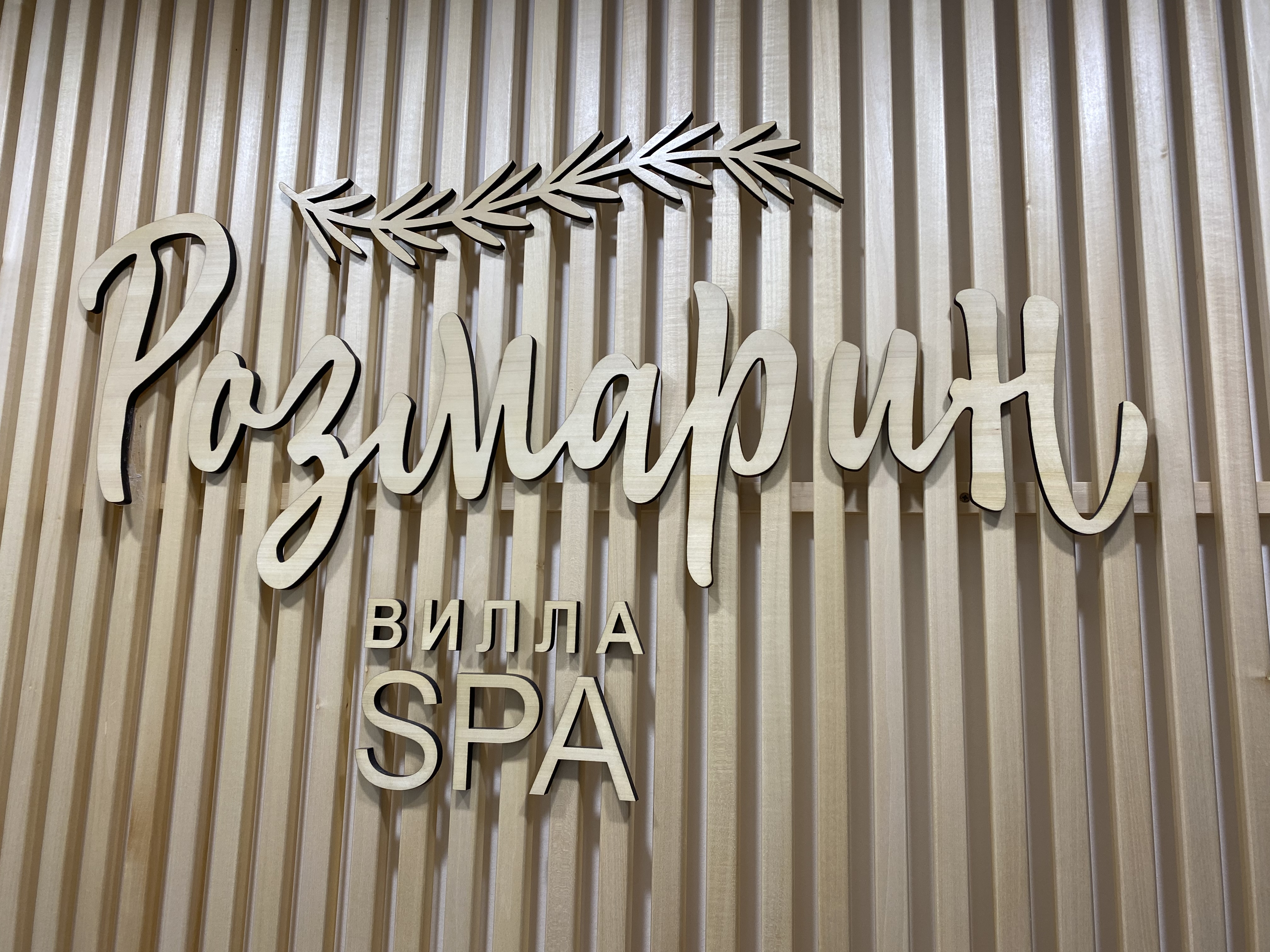 Фото Розмарин