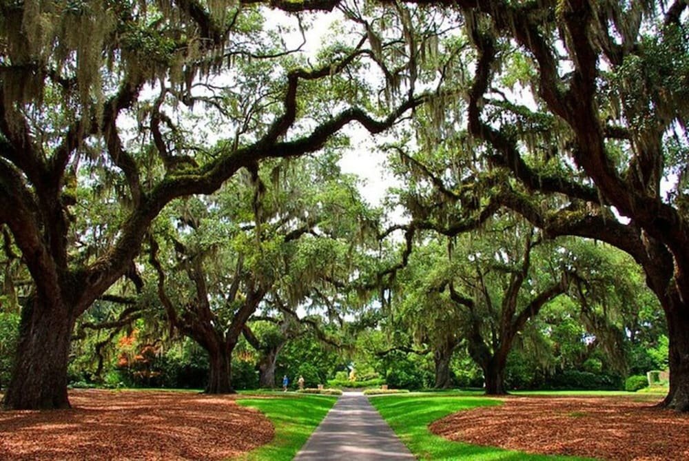 Фото 2br Ocean View Condo w Private Balcony