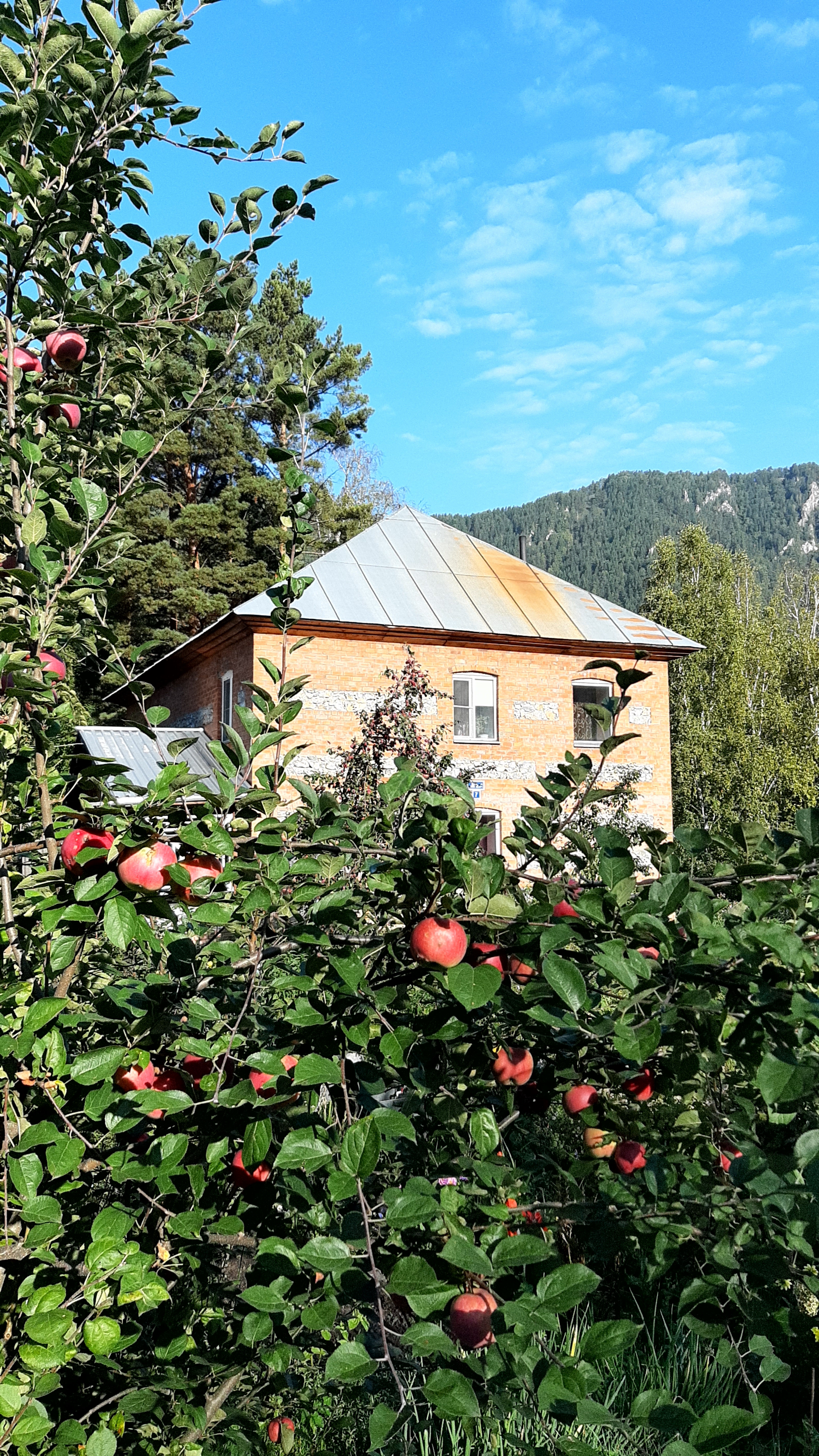 Фото Дом на берегу