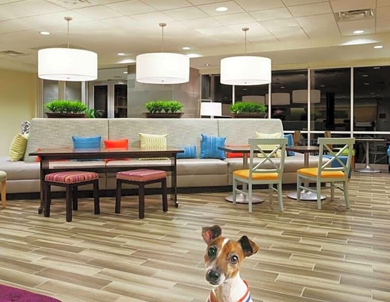 Фото Home2 Suites by Hilton Rosenberg/Sugar Land Area