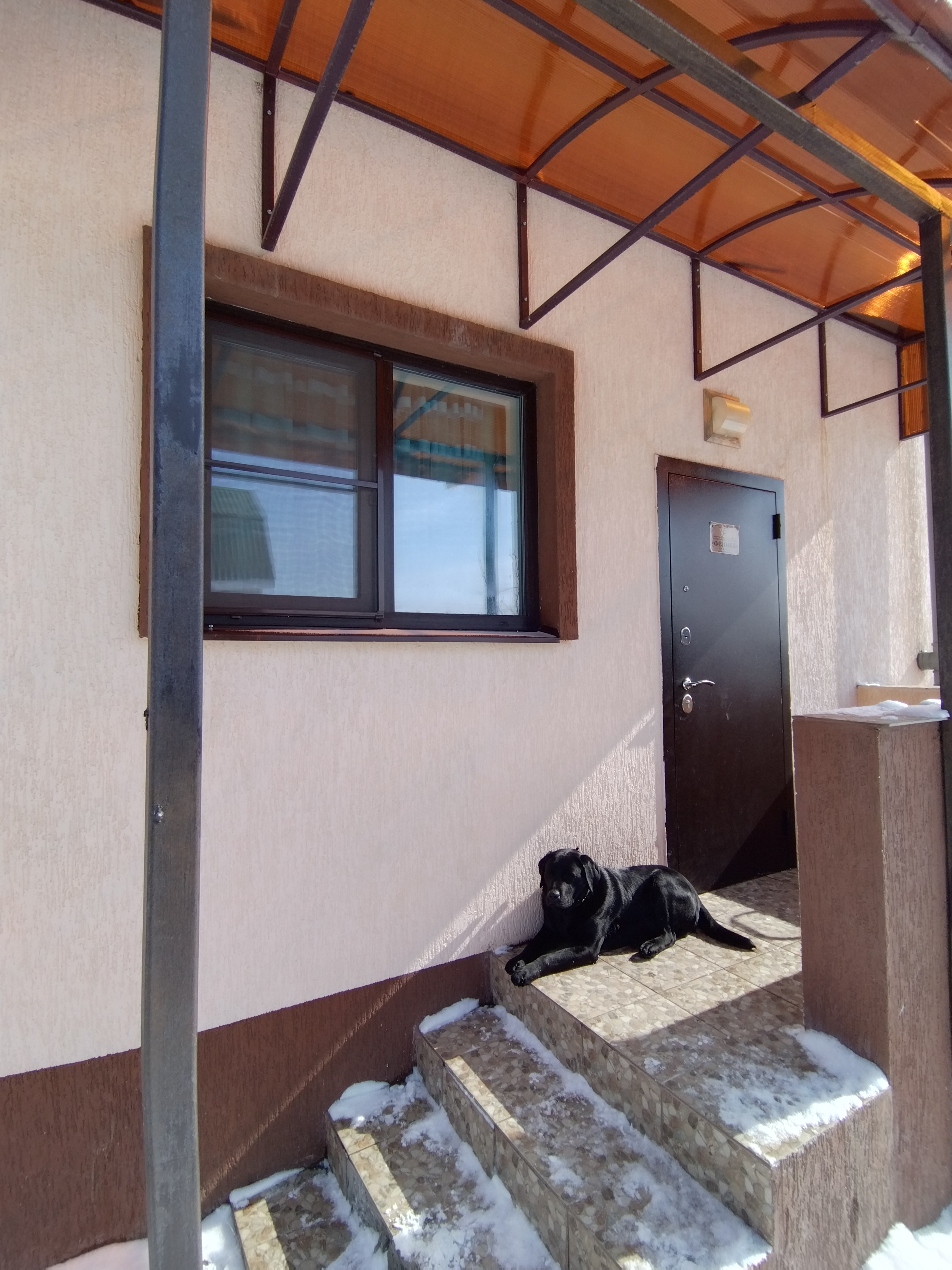 Фото Светлячок