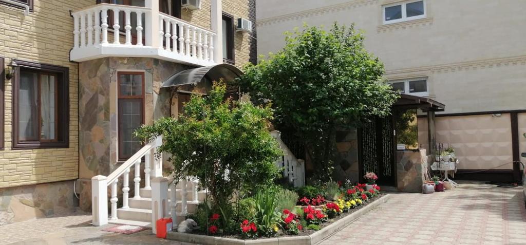 Фото Белая Березка