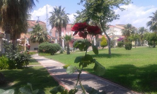 Апартаменты Akdenizevleri в Чамьюва