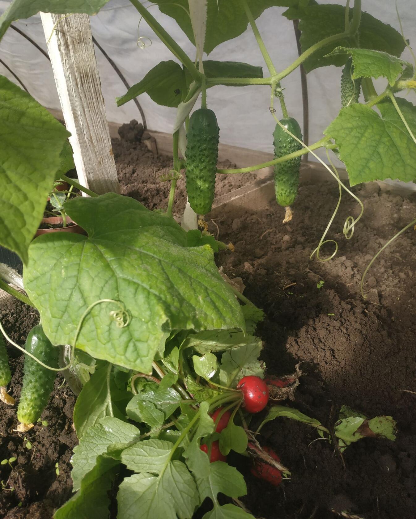 Фото В Центральном парке