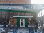 Troyka (Maksima Gorkogo Street, 152А), grocery