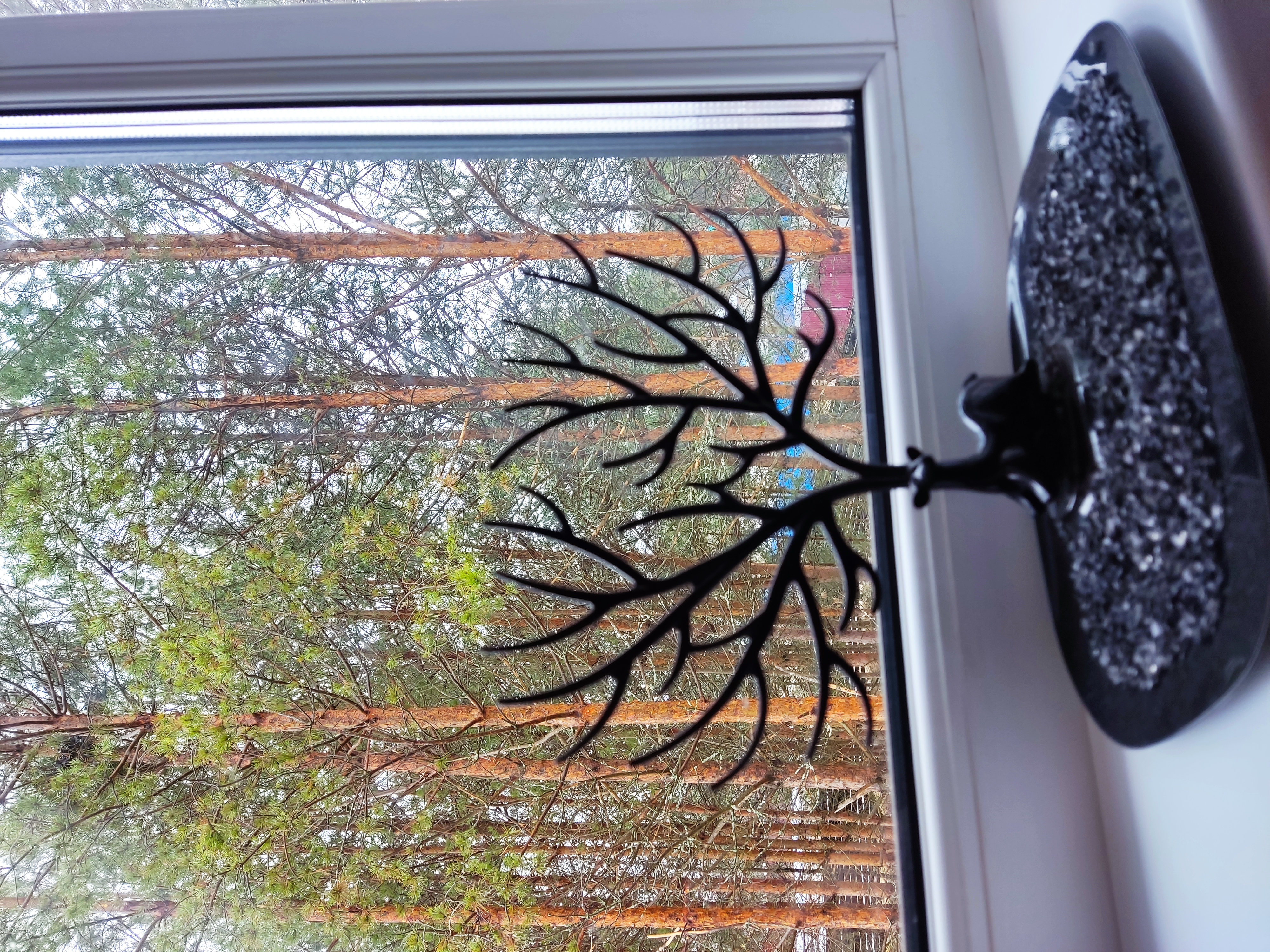 Фото Домик в лесу.76