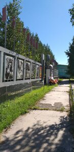 Жетілген шлюхты қараңыз