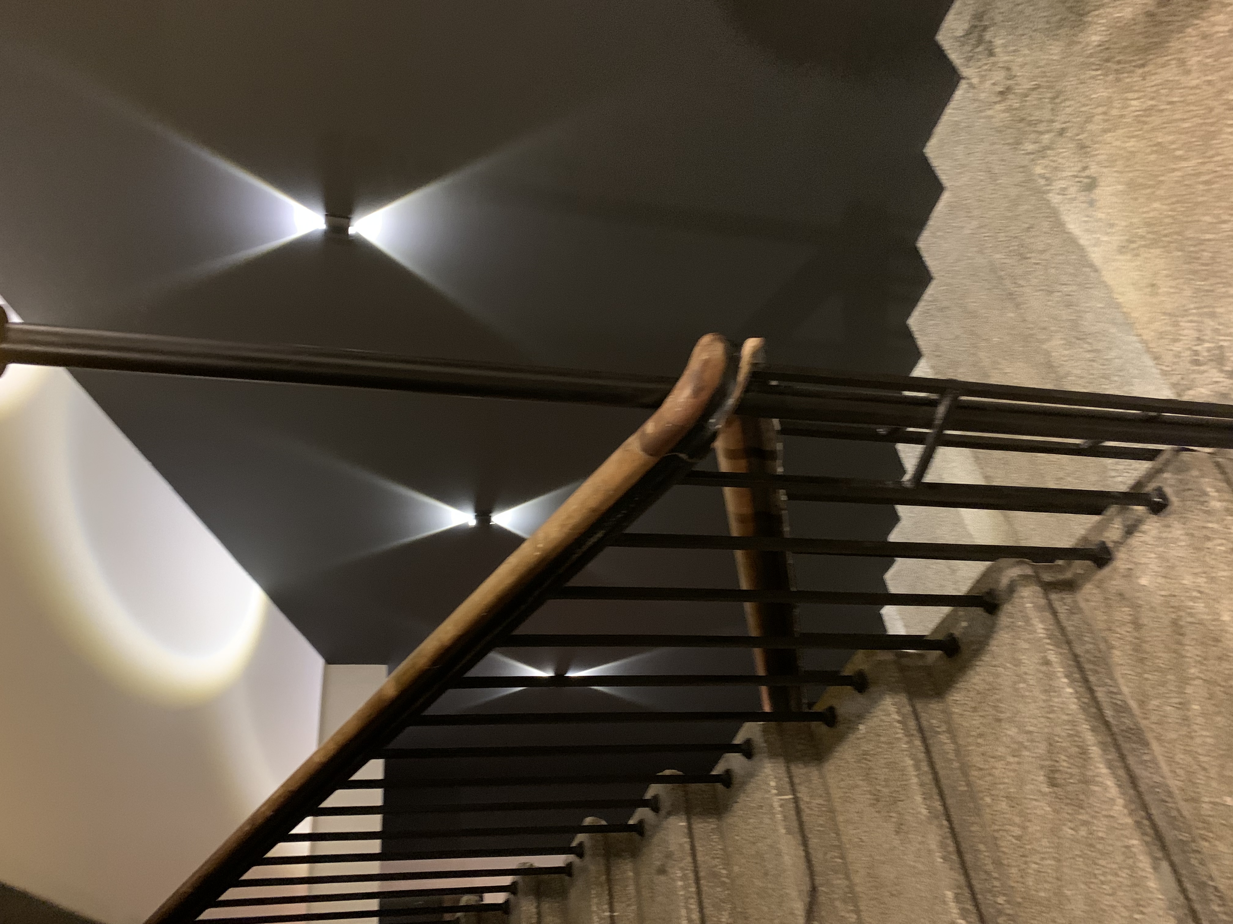 Фото Ласточкино гнездо