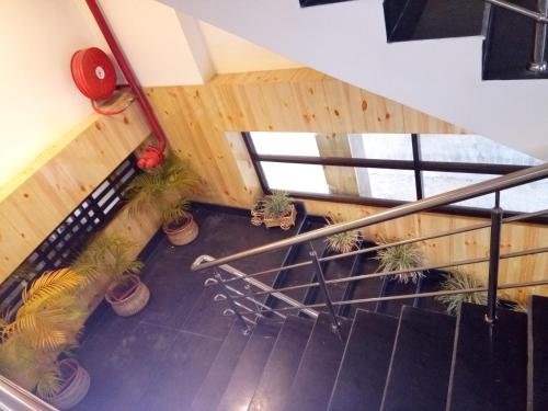 Фото Hotel Bikram