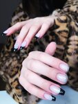 Kaif Nails (Mokhovaya Street, 27-29) ، صالون العناية بالأظافر