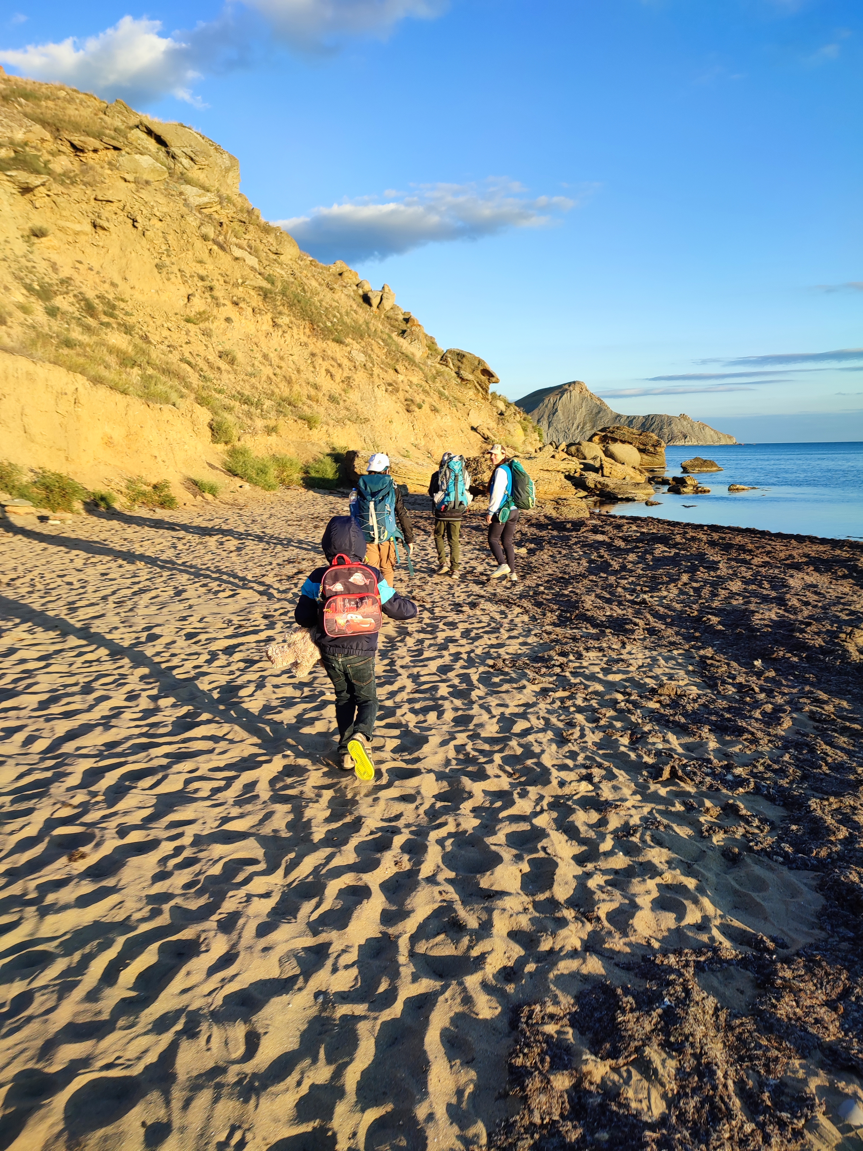 Фото Белый лебедь