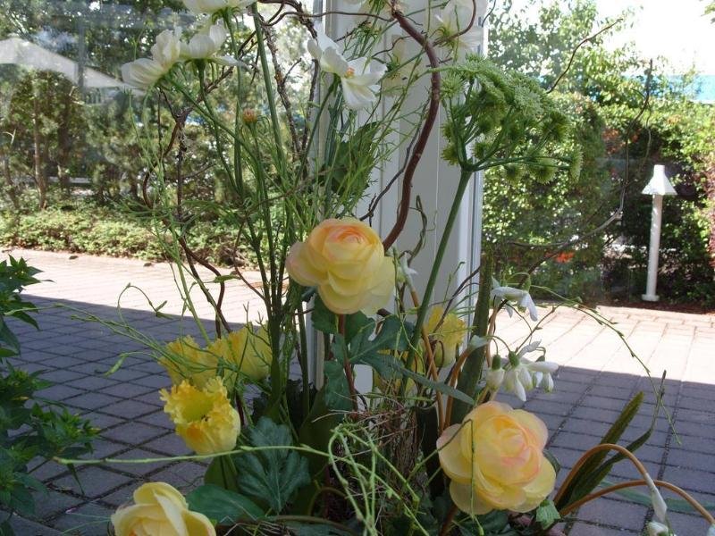 Фото Quality Hotel am Tierpark