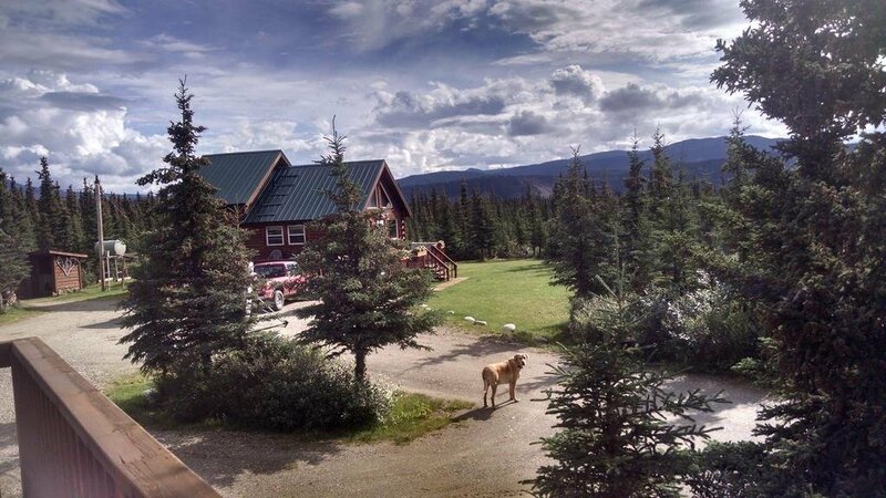 Гостиница Alaska Spruce Cabin's