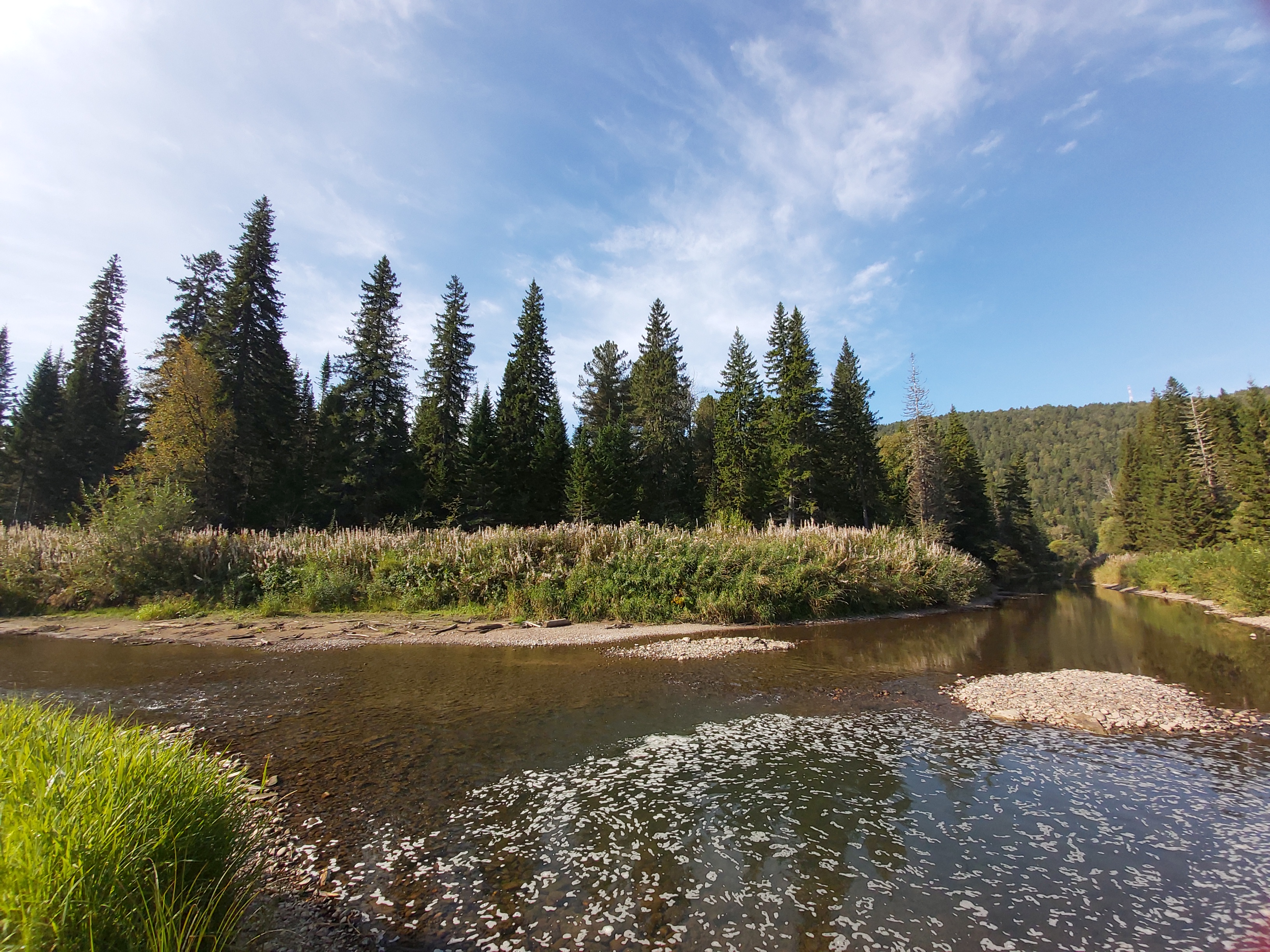 Фото Нарва Club