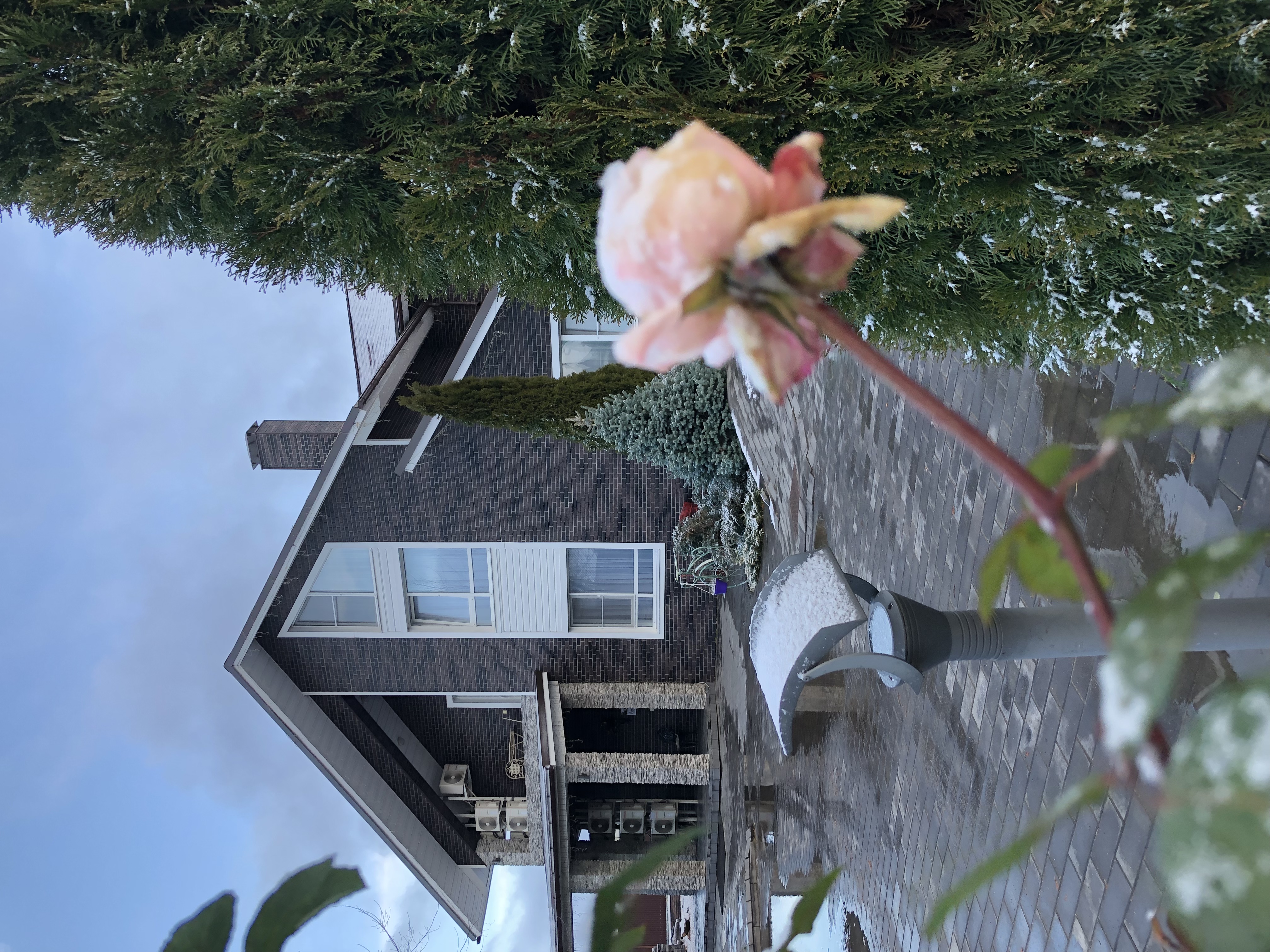 Фото Николин парк