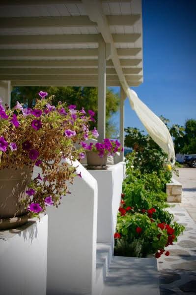 Фото Margarita Studios Ambelas