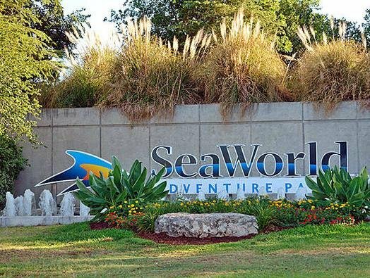 Гостиница Motel 6 San Antonio, Tx - West SeaWorld в Сан-Антонио