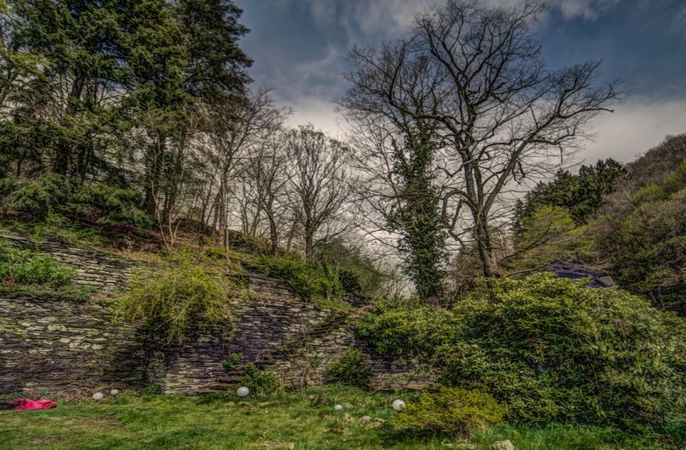 Фото Haus Stehlings