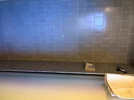 Фото Ritz Inn San Francisco Sfo Airport