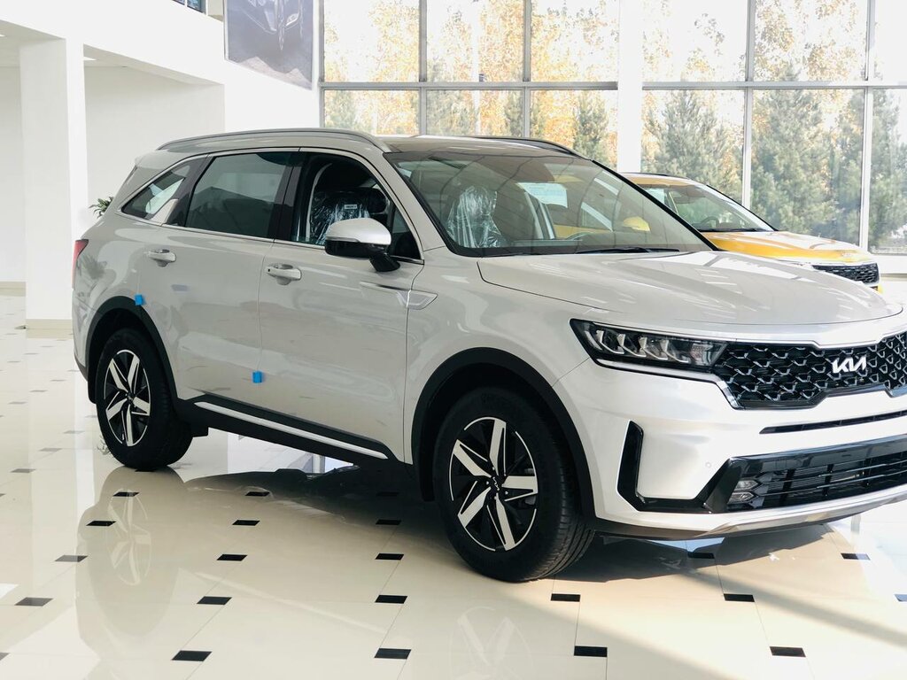 Car dealership Kia Andijan, Andijan Province, photo