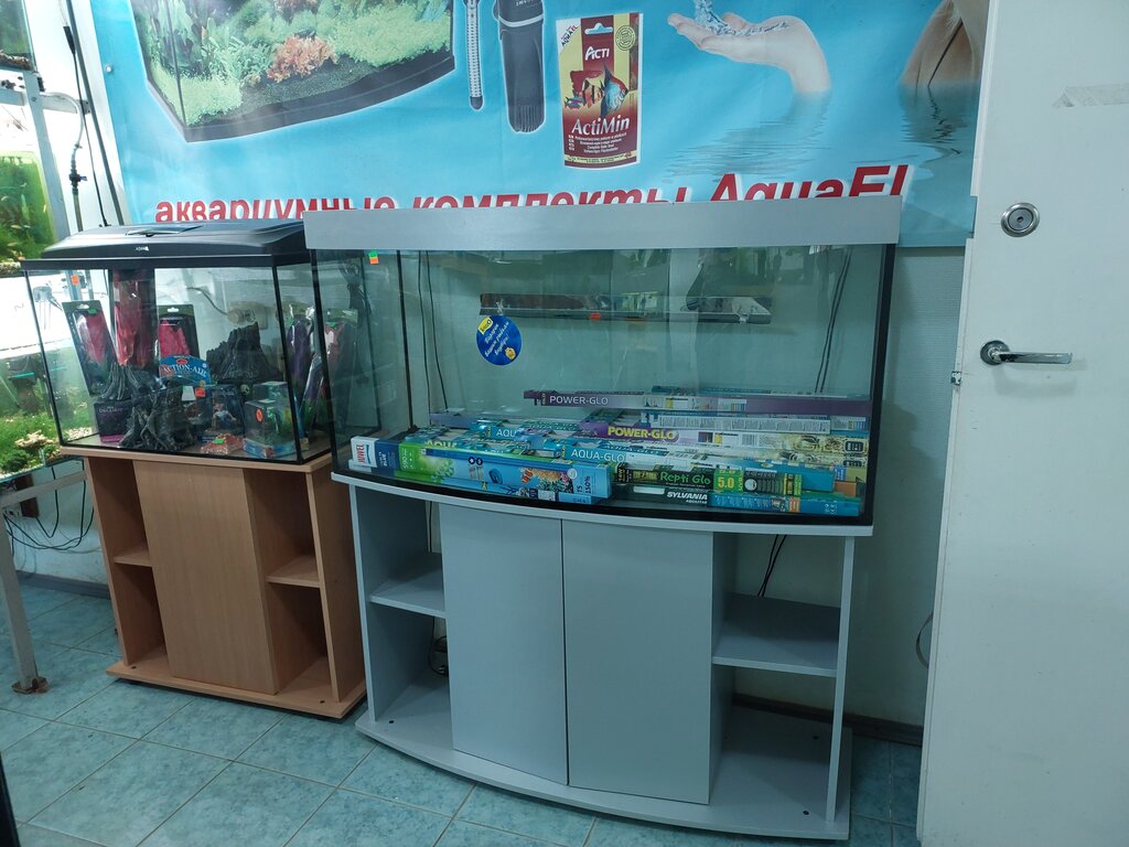 Аквариумный мир ул кирова 12б фото