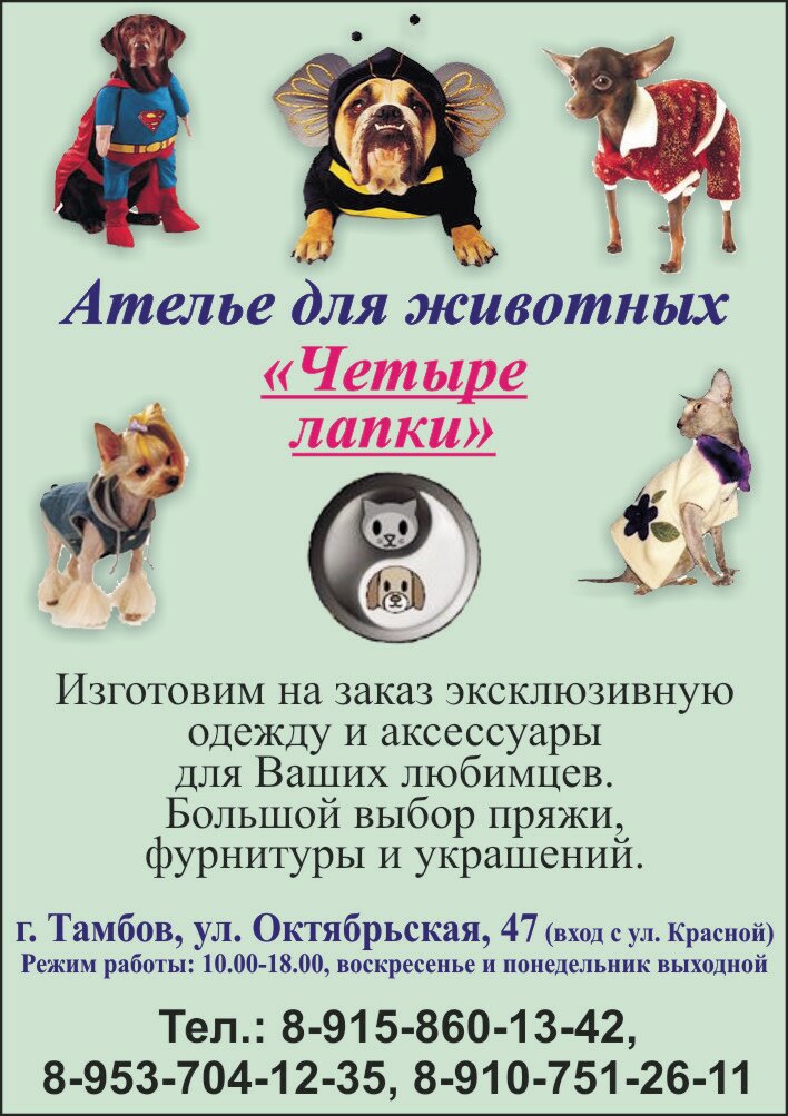 Artículos para animales al por mayor Atelye dlya zhivotnykh Chetyre lapki, , foto