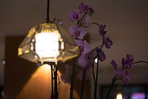 Фото Maroko Bayshore Suites