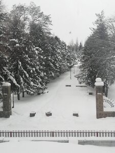 Каменная степь (Voronezh Region, 20N-19-29) ، محمية