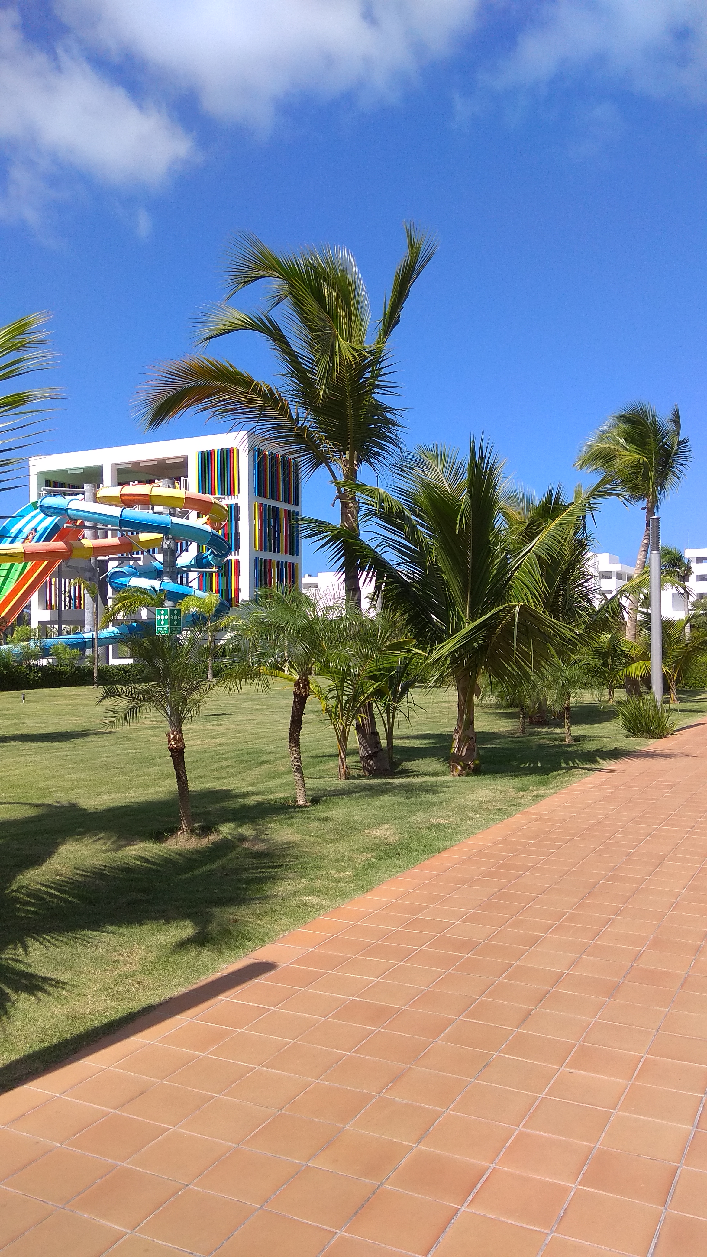 Фото Riu Republica - Adults only - All Inclusive