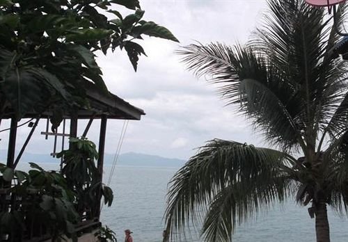 Фото Shady Resort