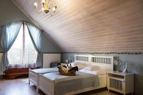 Гостиница Hangya Panzio Es Etterem в Ваше