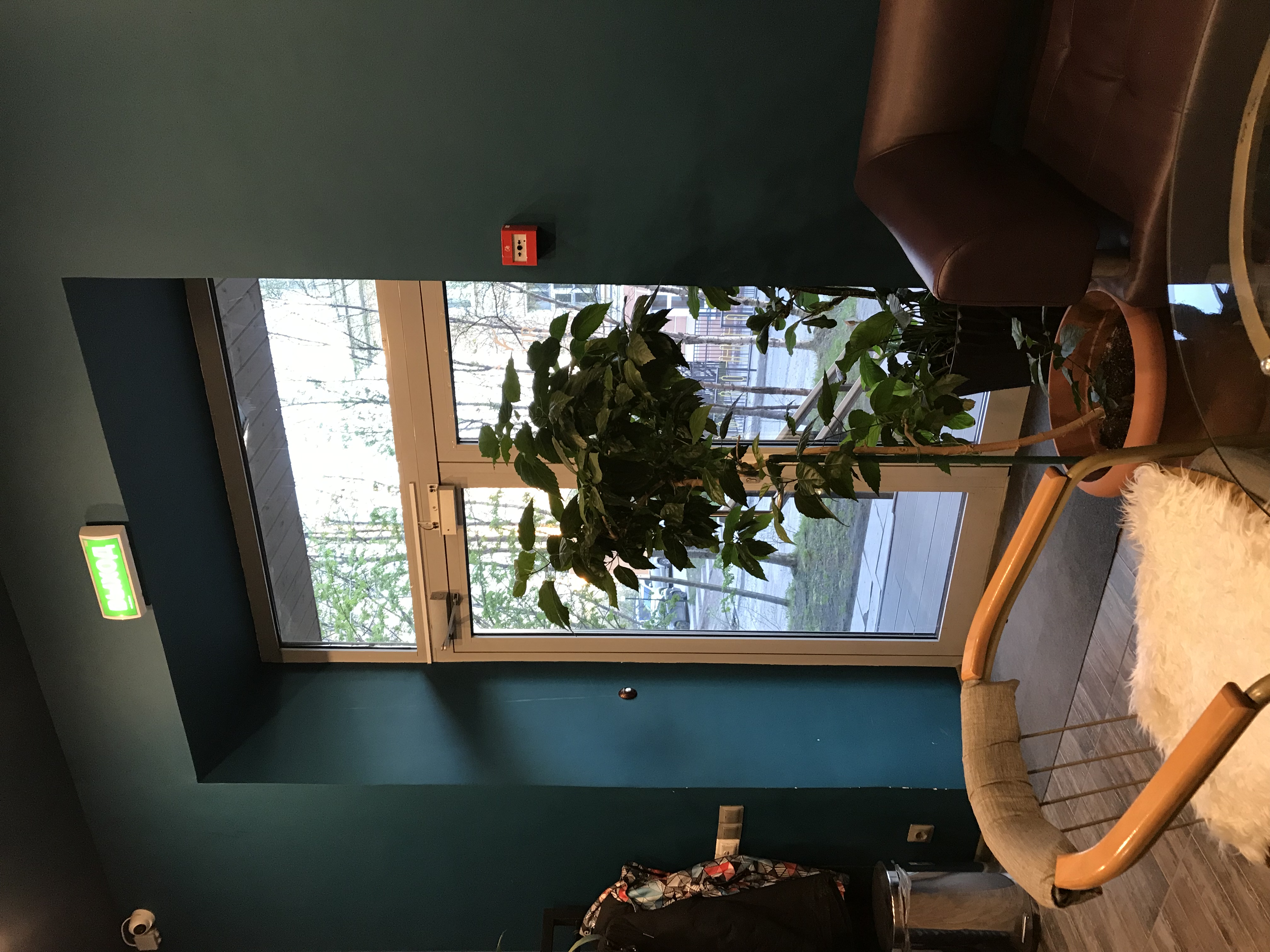 Фото Ягель Хостел