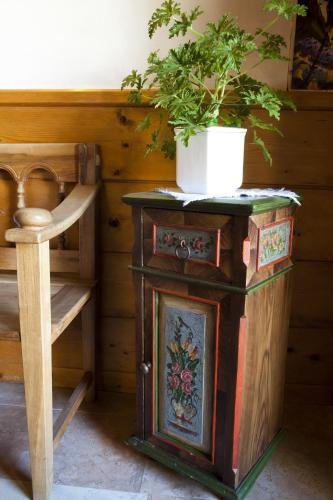 Фото Hotel Bellaria