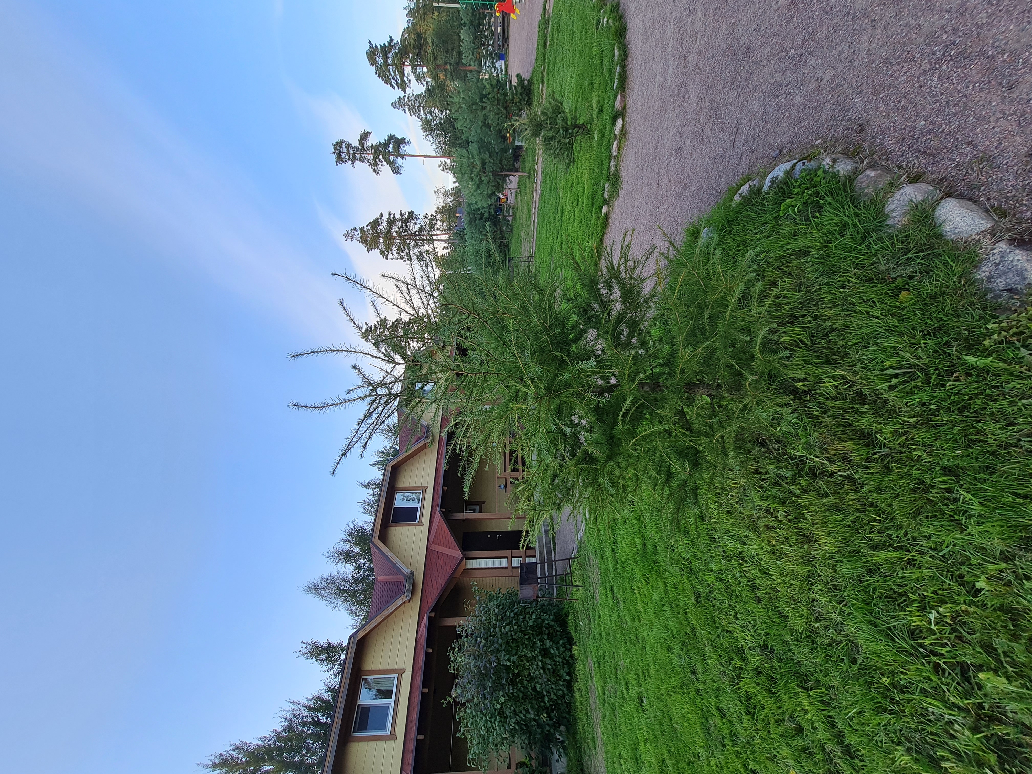 Фото Мичуринский дворик