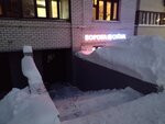 Ворота окна (Zhurnalistov Street, 2), windows