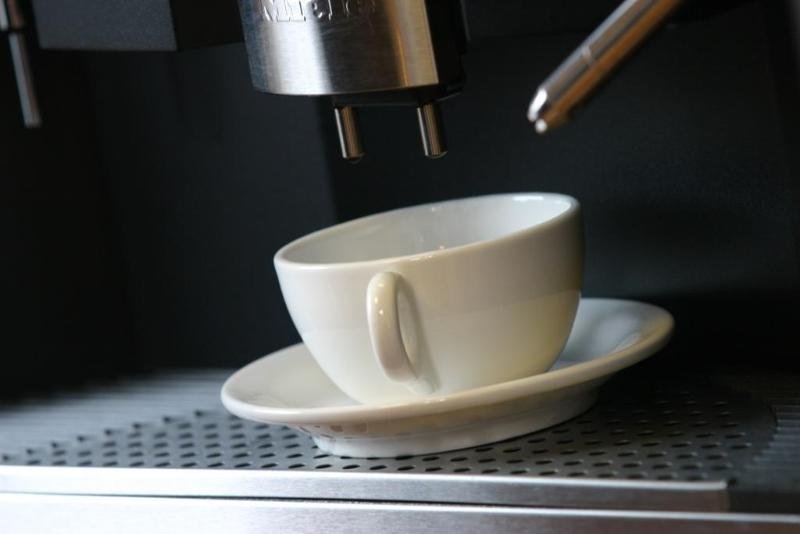 Фото Chocolate Gannets