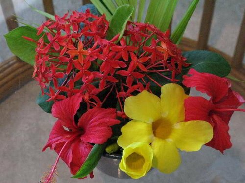 Гостиница Tamarind Reef Resort, SPA & Marina на Сен-Круа