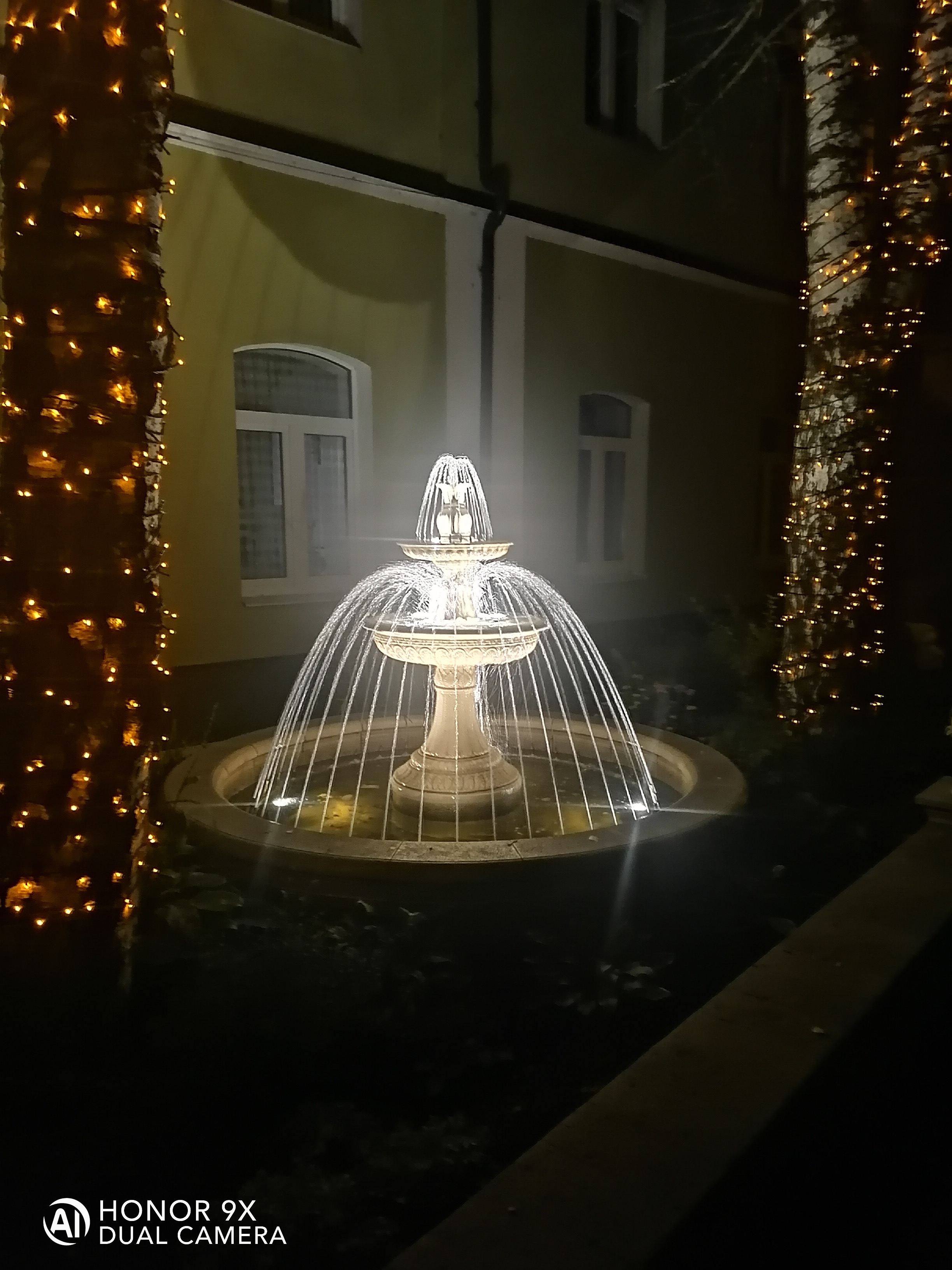 Фото Клевер